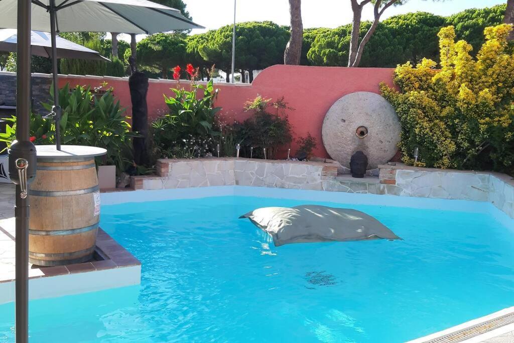 Hebergement Chambre D'Hotes Grau Du Roi Mas Des Marines Piscine Adult Only Le Grau-du-Roi Exterior foto